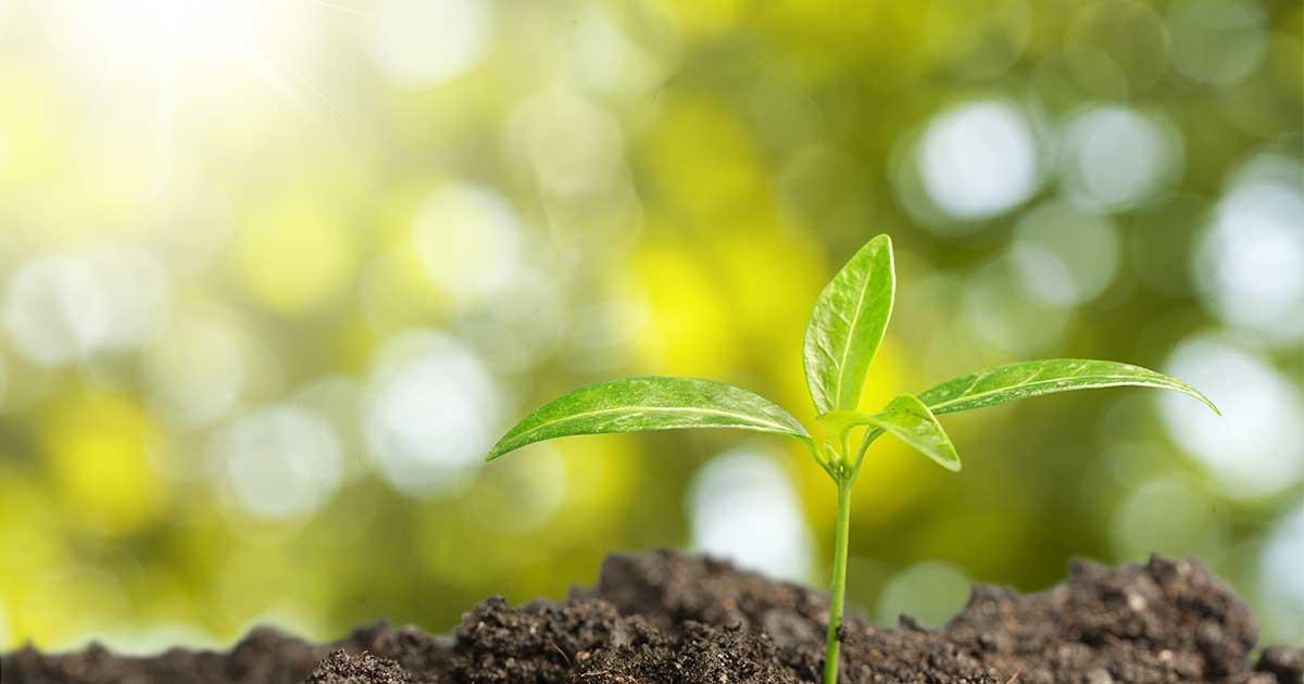 2024年はどう過ごす?40代におすすめの開運方法